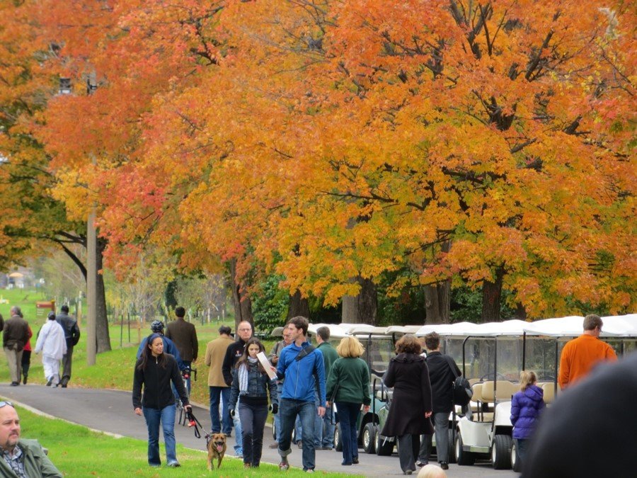 st vincentt greenway