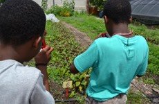 BHCK kids taking pics